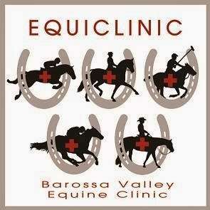 Photo: Equine Health Centre